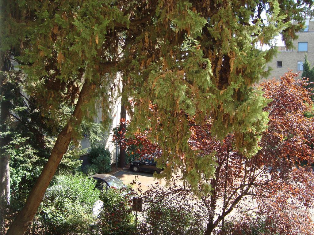 Villa Sciarra Roma Oda fotoğraf